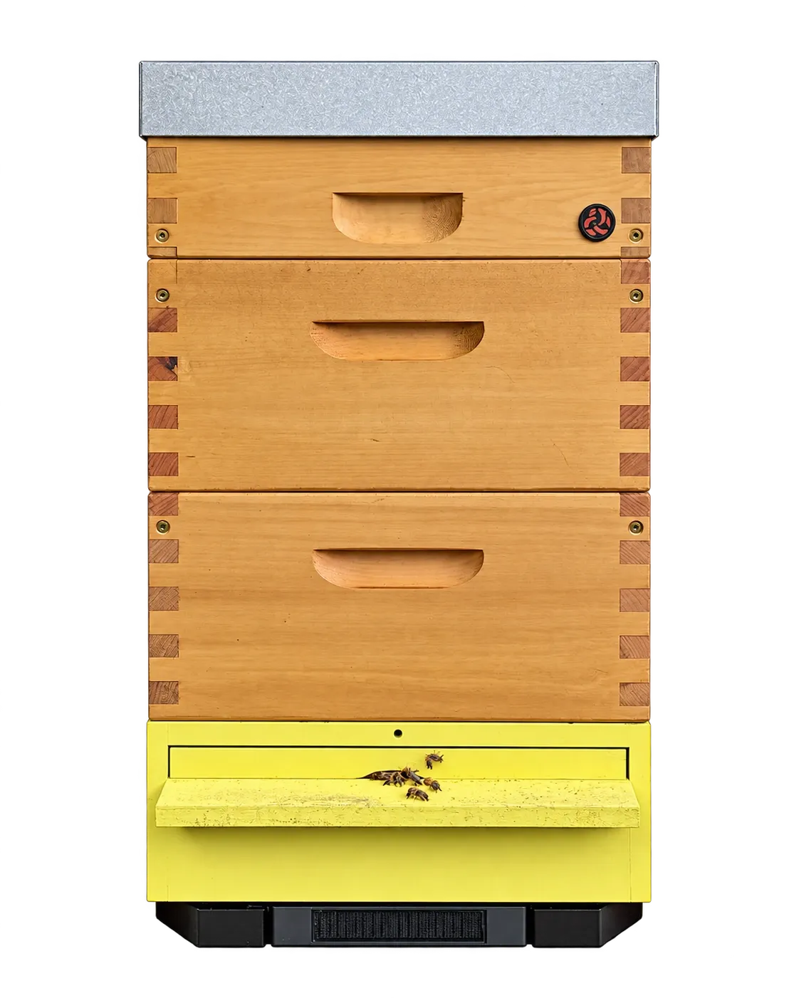 Wooden hive with a yellow bottom board on the Fluxabee 4G scale, front view with the background removed